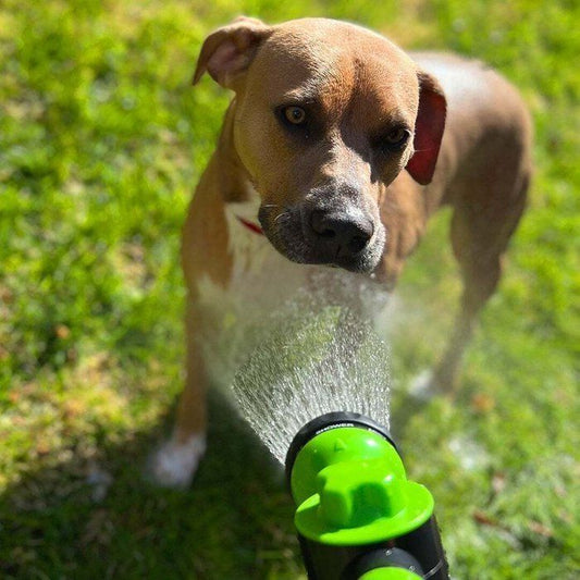 8-in-1 Pet Shower Gun – Foam Sprayer & Grooming Brush
