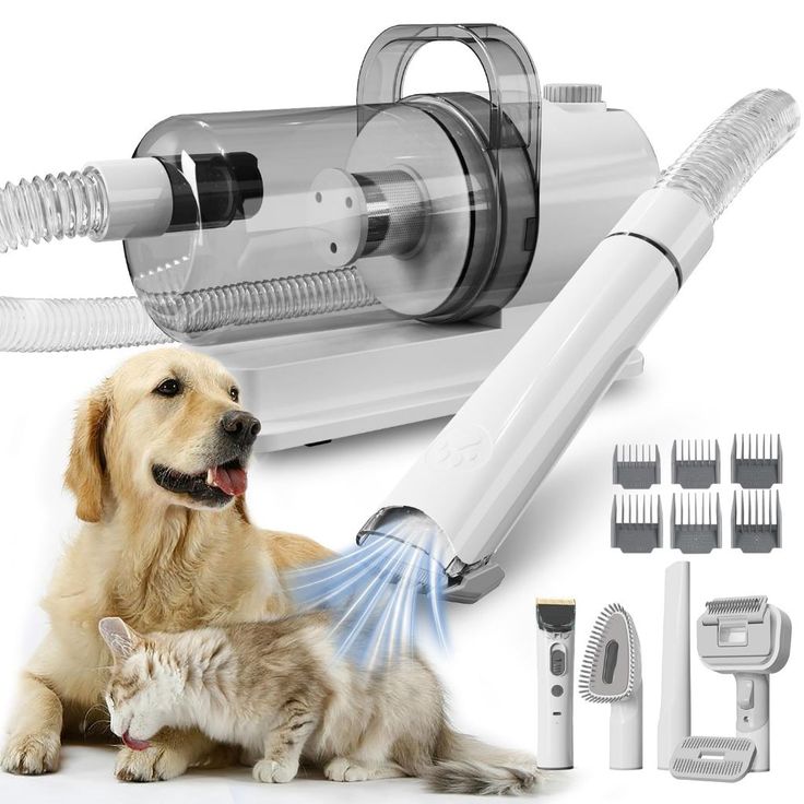 Pet multi-functional hair trimmer dog vacuum set all-in-one machine pet beauty device vacuum cleaner hair clipper
