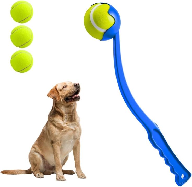 🐾 Interactive Pet Ball Launcher – Fetch & Training Toy for Dogs & Cats