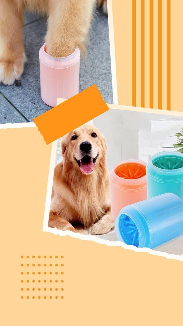 🐾 Pet Paw Cleaner Cup – Easy Foot Washing for Cats & Dogs