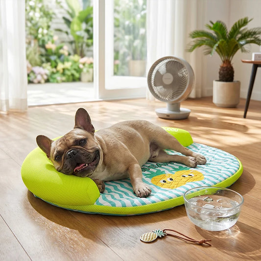 🐾 Cool & Cozy Pet Sofa Bed – Washable Cat & Dog Bed