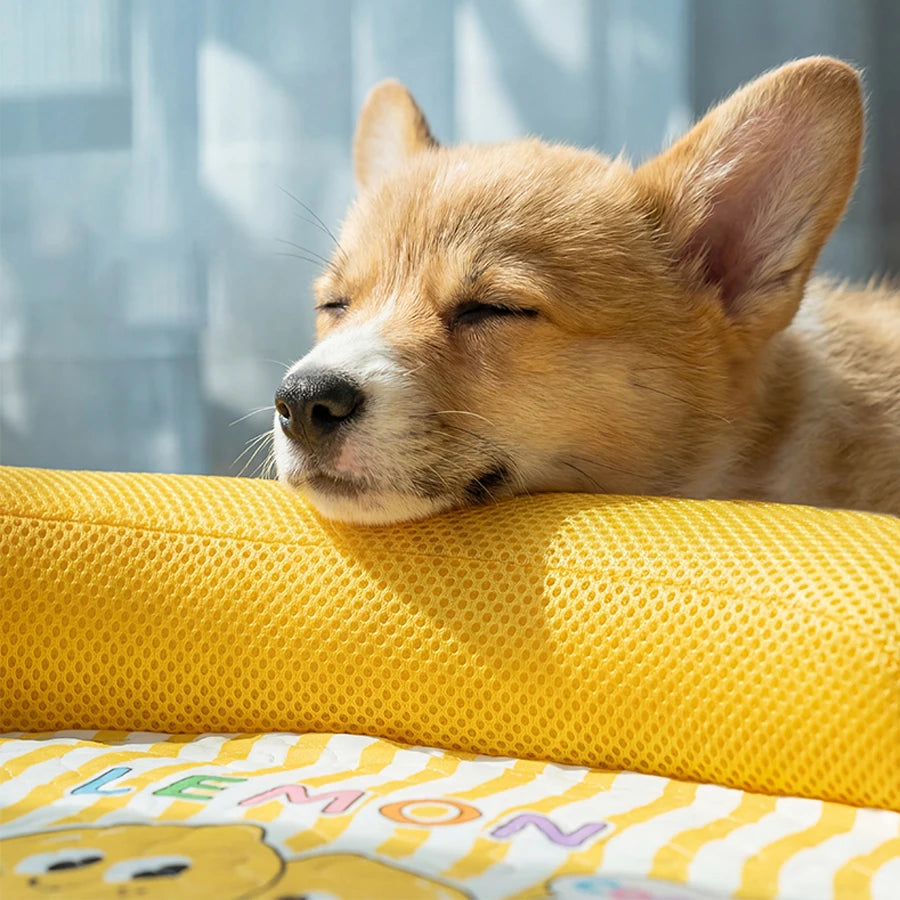 🐾 Cool & Cozy Pet Sofa Bed – Washable Cat & Dog Bed