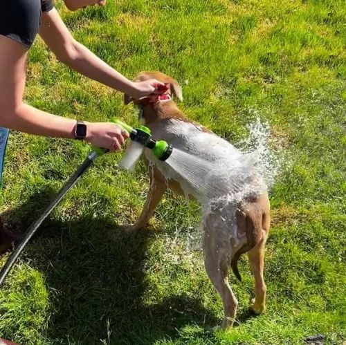 8-in-1 Pet Shower Gun – Foam Sprayer & Grooming Brush