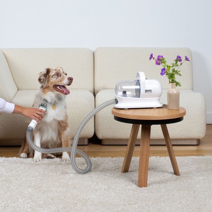 Pet multi-functional hair trimmer dog vacuum set all-in-one machine pet beauty device vacuum cleaner hair clipper